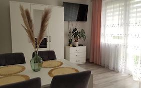 Sunny Boat Apartment